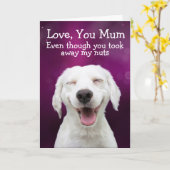 Funny Labrador Geburtstag Karte (Gelbe Blume)