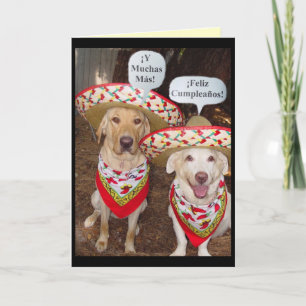 Funny Labrador Geburtstagskarte auf Spanisch Karte