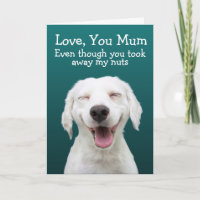 Funny labrador Geburtstagskarte