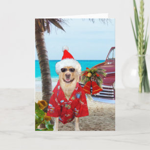 Funny Labrador/Hund Hawaiian/Surfer Weihnachten