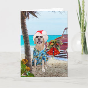 Funny Labrador/Hund Hawaiian/Surfer Weihnachten