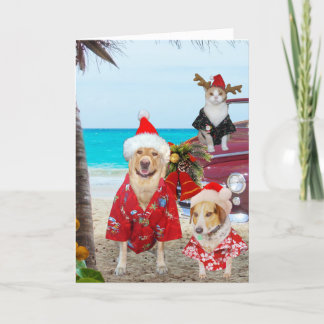 Funny Labrador/Hund und Katze Hawaiian/Surfer Weih Feiertagskarte