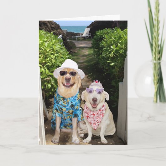 Funny Labrador/Hund Valentine Feiertagskarte (Vorderseite)