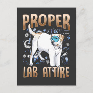 Funny Labrador Retriever Dog Chemie Science Postkarte