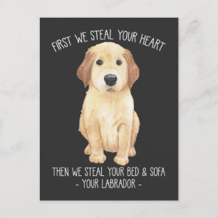Funny Labrador Retriever Dog Lover Stubborn Puppy Postkarte