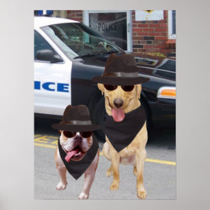 Funny Labrador und Bull Dog Poster