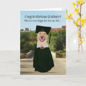 Funny Labrador Uni-Abschluß Karte (Gelbe Blume)