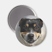 Funny Lächelhund Magnet (Vorderseite/Rückseite)