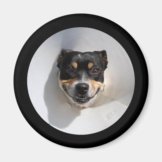 Funny Lächelhund Magnet (Vorne)