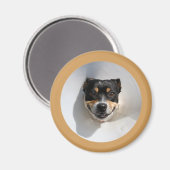 Funny Lächelhund Magnet (Vorderseite/Rückseite)