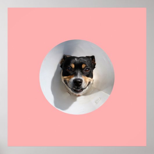 Funny Lächelhund Poster (Vorne)