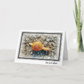 Funny Late Birthday Card mit Schnecke Karte (Vorderseite)