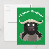 Funny Laufwasser Büffel Cartoon Postkarte (Vorne/Hinten)