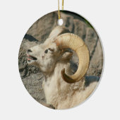 Funny Laughing Bighorn Sheep oder Ram Keramikornament (Links)