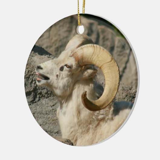 Funny Laughing Bighorn Sheep oder Ram Keramikornament (Links)