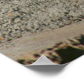 Funny Laughing Bighorn Sheep oder Ram Poster (Ecke)