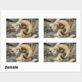 Funny Laughing Bighorn Sheep oder Ram Rechteckiger Aufkleber (Blatt)