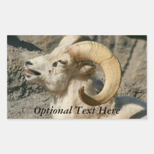 Funny Laughing Bighorn Sheep oder Ram Rechteckiger Aufkleber