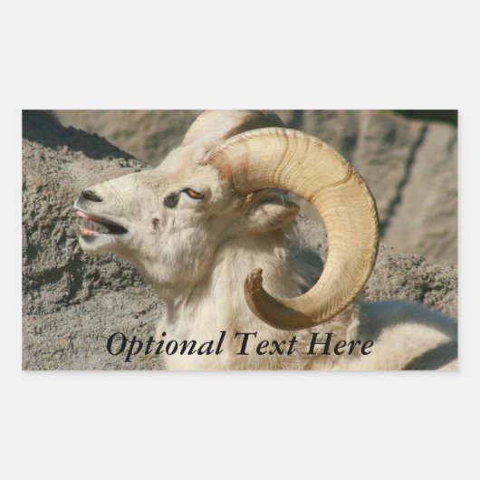 Funny Laughing Bighorn Sheep oder Ram Rechteckiger Aufkleber (Vorderseite)