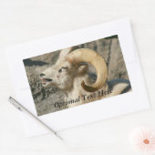 Funny Laughing Bighorn Sheep oder Ram Rechteckiger Aufkleber (Umschlag)