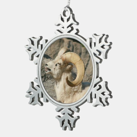 Funny Laughing Bighorn Sheep oder Ram Schneeflocken Zinn-Ornament (Rechts)