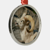 Funny Laughing Bighorn Sheep oder Ram Silbernes Ornament (Rechts)