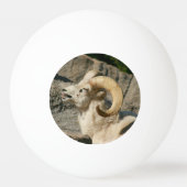 Funny Laughing Bighorn Sheep oder Ram Tischtennisball (Rückseite)