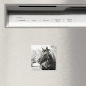 Funny Laughing Horse Magnet (In Situ (Geschirrspüler))