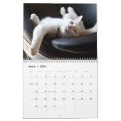 Funny Lazy Cats 2026 Kalender (Mär 2026)