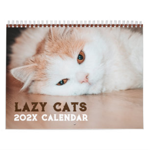 Funny Lazy Cats 2026 Kalender