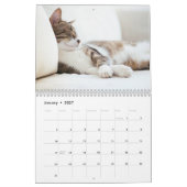 Funny Lazy Cats 2026 Kalender (Jan 2027)