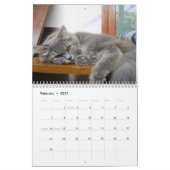 Funny Lazy Cats 2026 Kalender (Feb 2027)