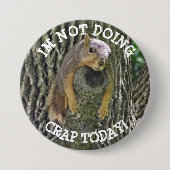 Funny Lazy Squirrel Napping in Tree Button (Vorderseite)