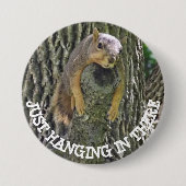 Funny Lazy Squirrel Napping in Tree Button (Vorderseite)