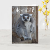 Funny Lemur Card Karte (Gelbe Blume)