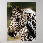 Funny Leopard Appaloosa Pferd Poster (Vorne)