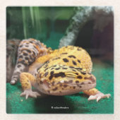 Funny Leopard Gecko lächelt für Paparazzi Glasuntersetzer (Vorderseite)