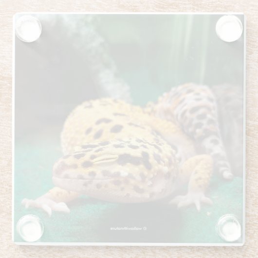 Funny Leopard Gecko lächelt für Paparazzi Glasuntersetzer (Rückseite)
