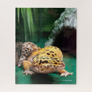 Funny Leopard Gecko lächelt für Paparazzi Puzzle