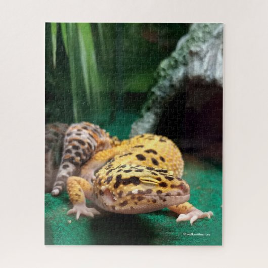Funny Leopard Gecko lächelt für Paparazzi Puzzle (Vertikal)