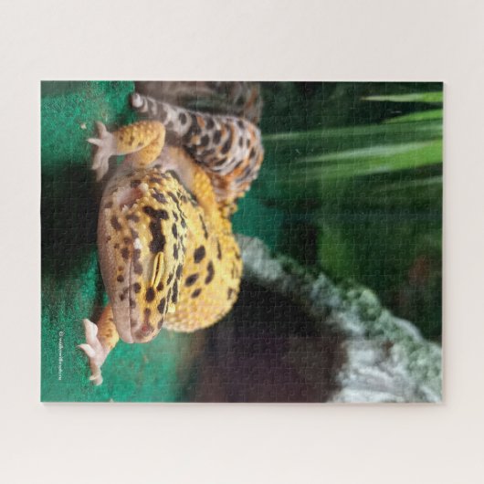 Funny Leopard Gecko lächelt für Paparazzi Puzzle (Horizontal)