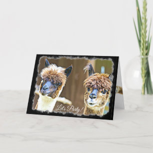Funny Let's Party Alpaca Geburtstagkarte Karte