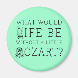 Funny Life ohne Mozart Music - Geschenk T-Shirt Magnet