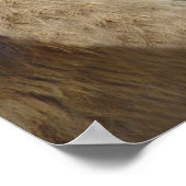 Funny Lion mit Zunge-Out-Poster drucken Poster (Ecke)