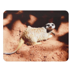 Funny Little Digging Meerkat, Türschild