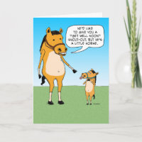 Funny Little Horse bekommt Wohlfühlkarte