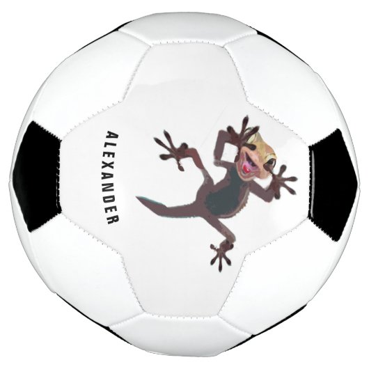 Funny Lizard Gecko Personal Fußball (Gedreht)