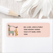 Funny Llama (Insitu)