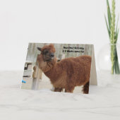 Funny Llama Birthday Card Karte (Vorderseite)