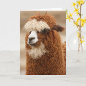 Funny Llama Birthday Karte (Gelbe Blume)